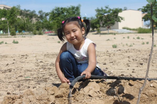 Фруктовую аллею в парке «Акбота» высадили актауские бизнесмены