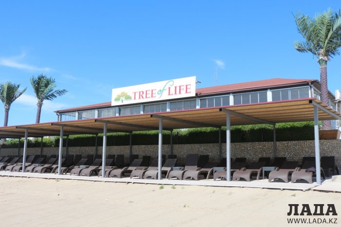 Список и телефоны баз отдыха Актау