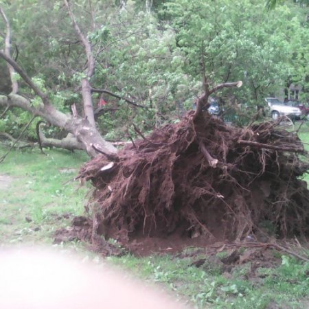 Ураган устроил апокалипсис в Москве: Погибли 11 человек, 70 травмированы