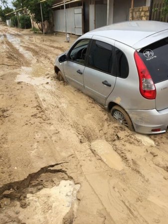 Дачный массив Химик, после сегодняшнего дождя.