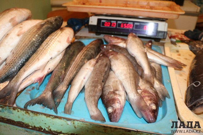 Как на рынках Актау проверяют качество и безопасность свежей рыбы