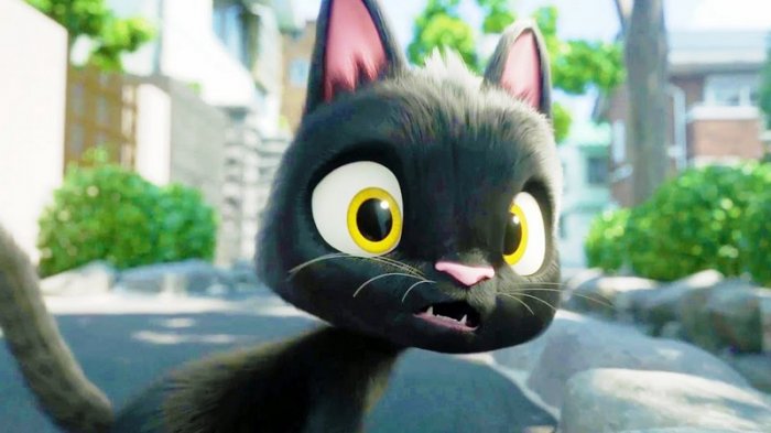 Как провести ближайшие выходные в Актау