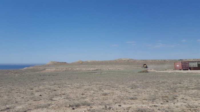 Что хотят, то и воротят! ФОТО