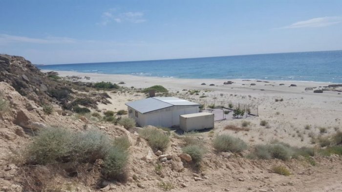 Что хотят, то и воротят! ФОТО