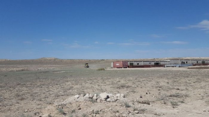 Что хотят, то и воротят! ФОТО