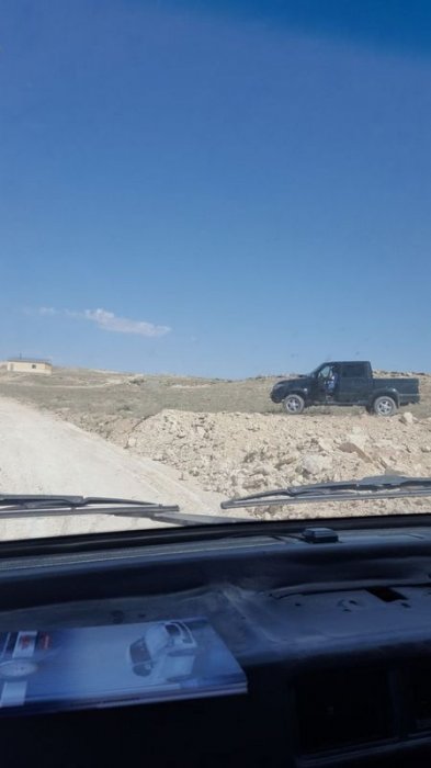 Что хотят, то и воротят! ФОТО