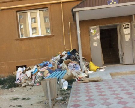 ТОО «Кала жолдары»: За выброс мусора в неустановленных местах предусмотрена административная ответственность