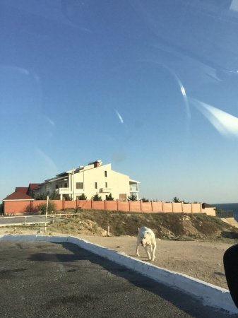 Люди оставайтесь людьми!!!