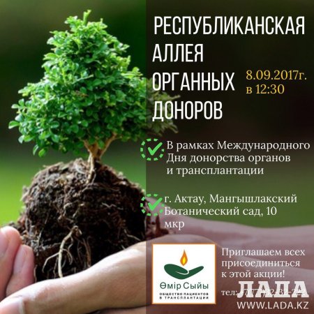 В Актау высадят деревья в честь посмертных доноров органов