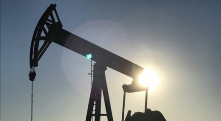 ОПЕК снизила прогноз добычи нефти в РК в 2018 году