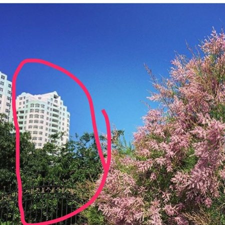 Руки прочь от зелени Актау!