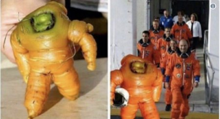 Морковку-астронавта сравнили с Брюсом Уиллисом