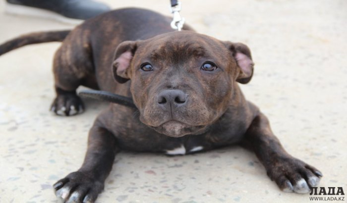 Как провести ближайшие выходные в Актау