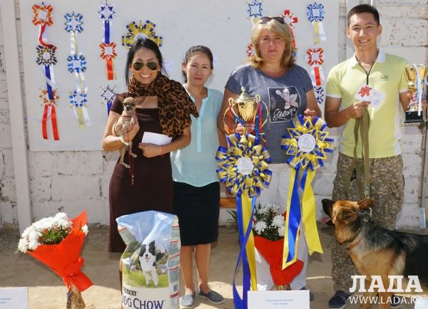 В Мангистауской области прошла международная выставка собак