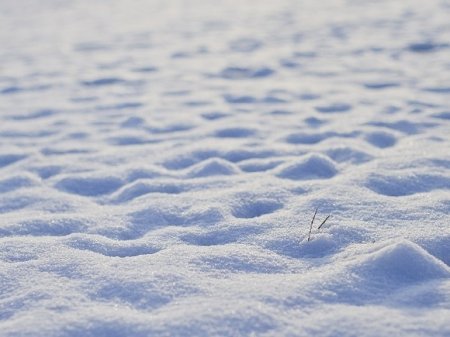 В Алматы выпал снег, на Шымбулаке слепили первого снеговика