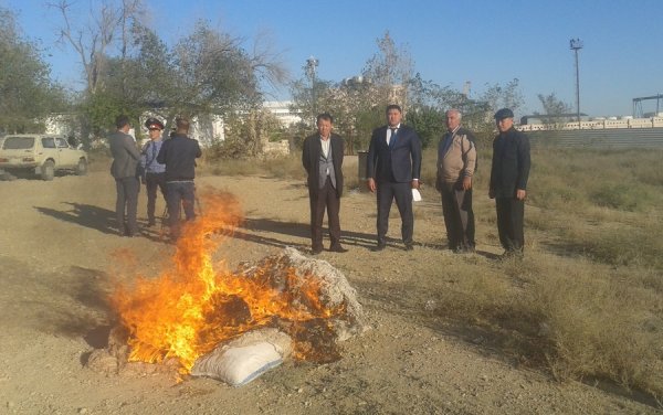 Во время акции «Стоп-Браконьер» на Каспии обнаружено 34 кг рыбы осетровых пород