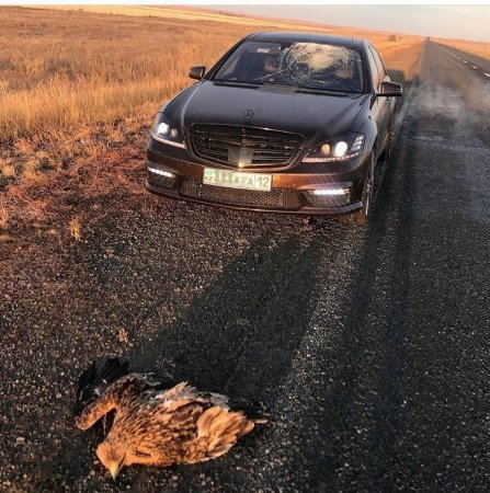 Без комментариев