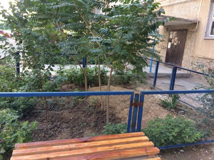 В Актау подвели итоги конкурса «Лучший подъезд» и «Лучший дом» В Актау подвели итоги конкурса «Лучший подъезд» и «Лучший дом»