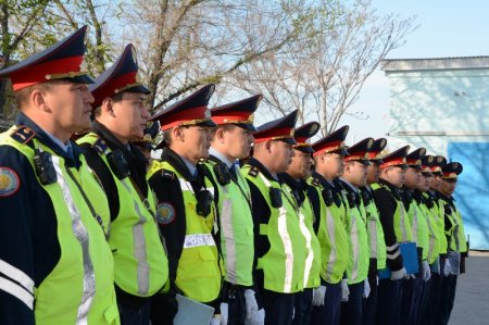 За три дня ОПМ «Безопасная дорога» в Актау самым распространенным нарушением стал непристегнутый ремень безопасности