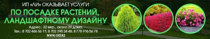 Актау сквозь призму осеннего листопада