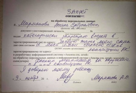 Эффект "Синего кита". Слежку за детьми в соцсетях объяснили в Управлении образования Астаны