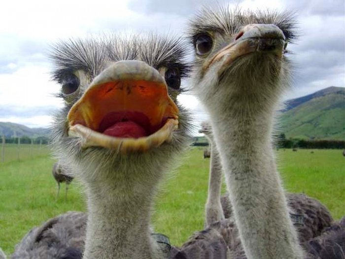 Как провести ближайшие выходные в Актау