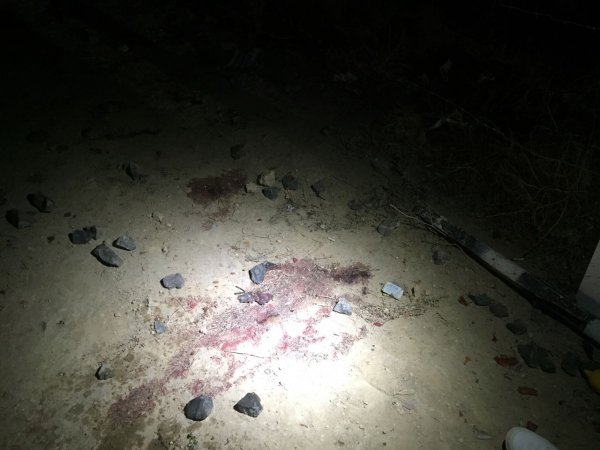 Количество пострадавших в столкновении тепловоза и «ГАЗели» составило 27 человек