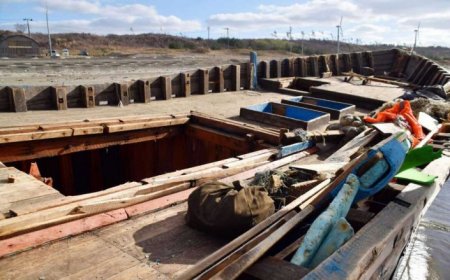 К побережью Японии прибило судно с человеческими скелетами