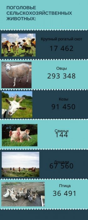 С начала года сельскохозяйственные предприятия Мангистау произвели продукцию на 10 миллиардов тенге