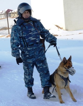 В Жанаозене наряд национальной гвардии с помощью служебной собаки задержал парня с пистолетом