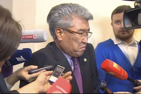 Политические перлы-2017