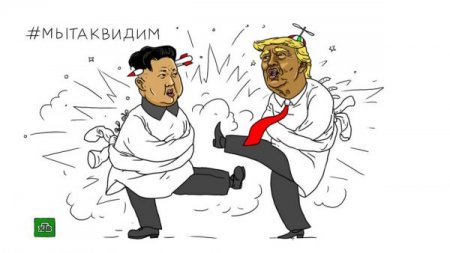 Политические перлы-2017