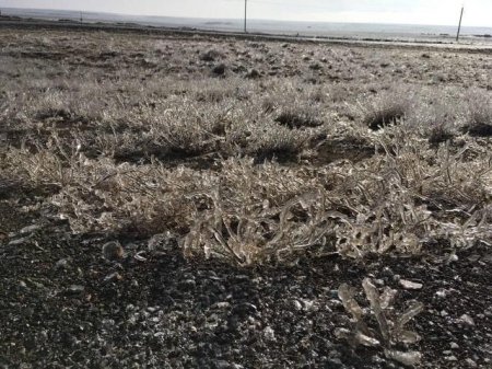 Вот это морооооз...