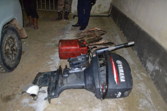 Автомобиль с рыбой осетровых пород задержали мангистауские полицейские