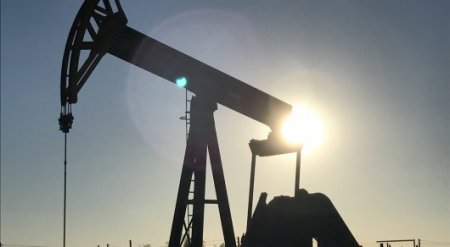 ОПЕК перевыполняет планы по сокращению добычи нефти и прогнозирует рост спроса