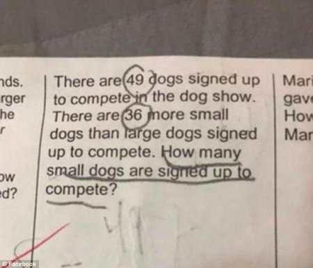 Детская задачка о собаках поставила родителей в тупик