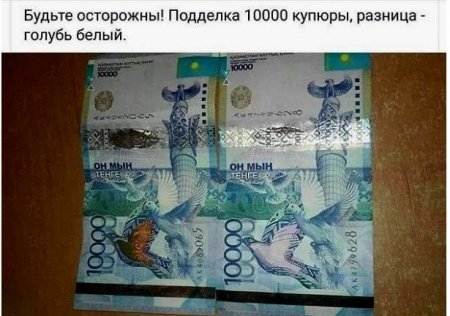 Голубь не переливается: в Нацбанке прокомментировали снимок "поддельной" купюры