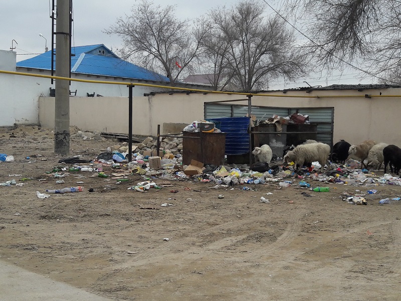Свалка в поселке Умирзак