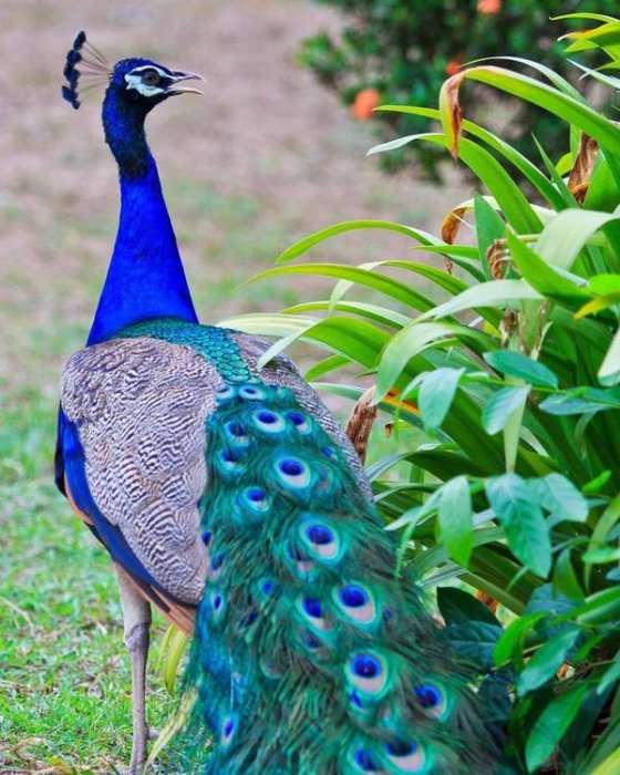 Как провести ближайшие выходные в Актау