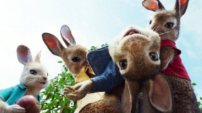 Как провести ближайшие выходные в Актау