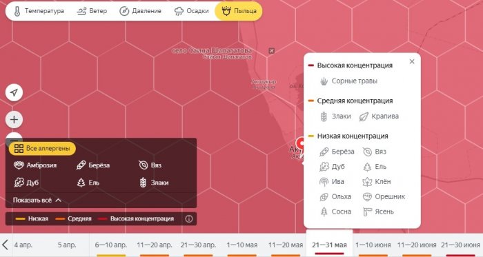 «Яндекс.Погода» запустил сервис в помощь аллергикам Мангистау