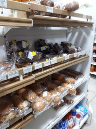 Завтрашний хлеб