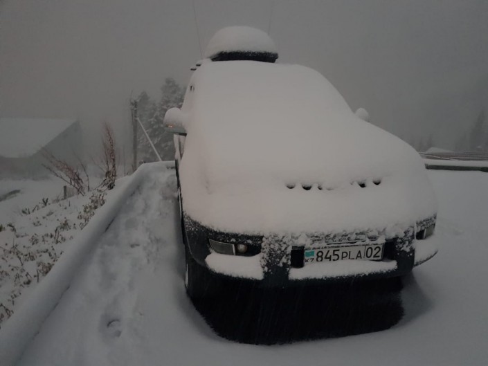 В Алматы пошел обильный снегопад 