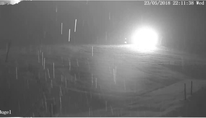 В Алматы пошел обильный снегопад 