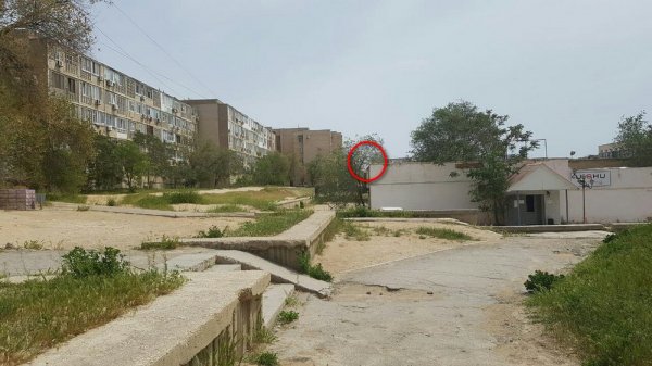 Из окна по ребенку стреляли в Актау