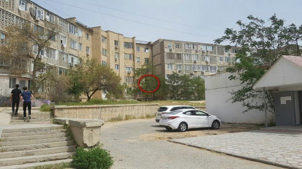 Из окна по ребенку стреляли в Актау