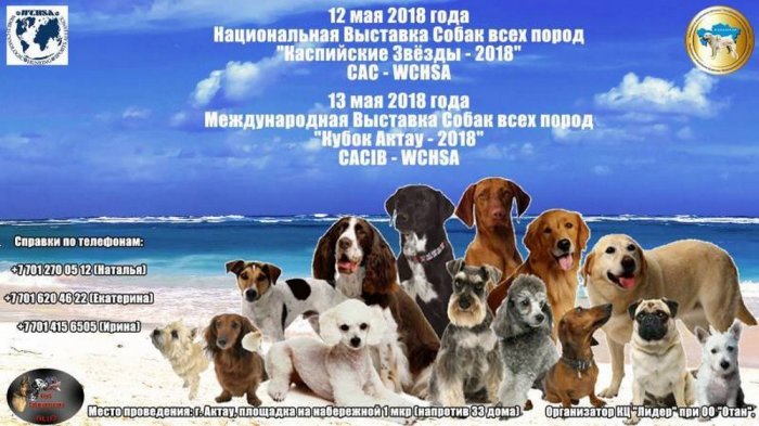 Как провести ближайшие выходные в Актау