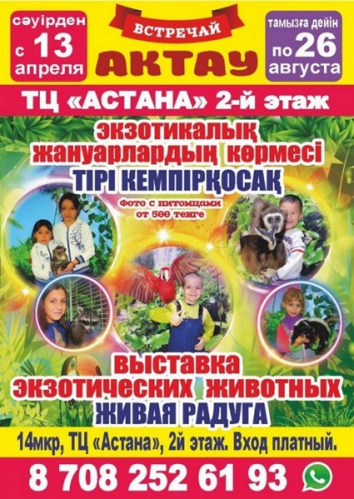 Как провести ближайшие выходные в Актау