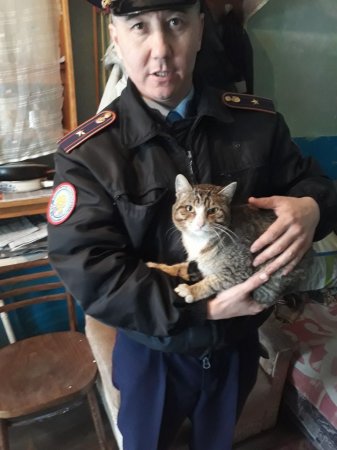 Павлодарские полицейские взяли на работу кота