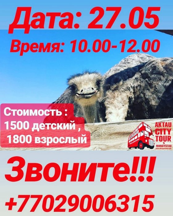 Как провести ближайшие выходные в Актау